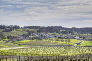 Vidange fosse septique Liévin